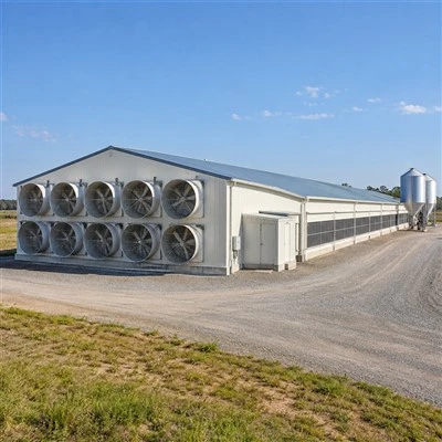 Poultry Farm Sheds